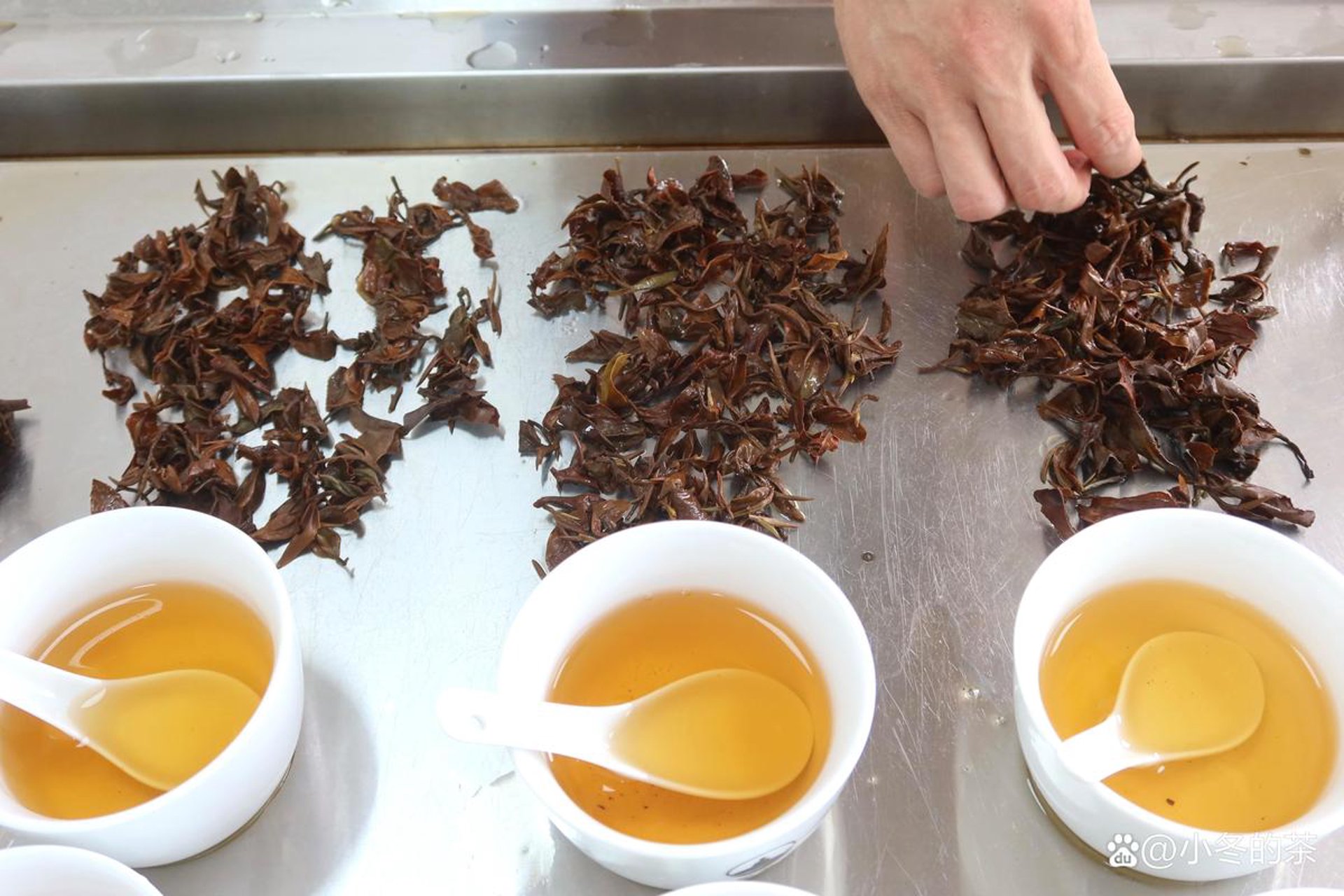 乌龙茶多酚科技
